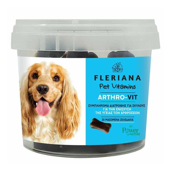 Fleriana Pet Vitamins Arthro-Vit 20chew.gums (Εξειδικευμένη Φόρμουλα με Γλυκοζαμίνη για την Ενίσχυση της Φυσιολογικής Λειτουργίας των Αρθρώσεων)