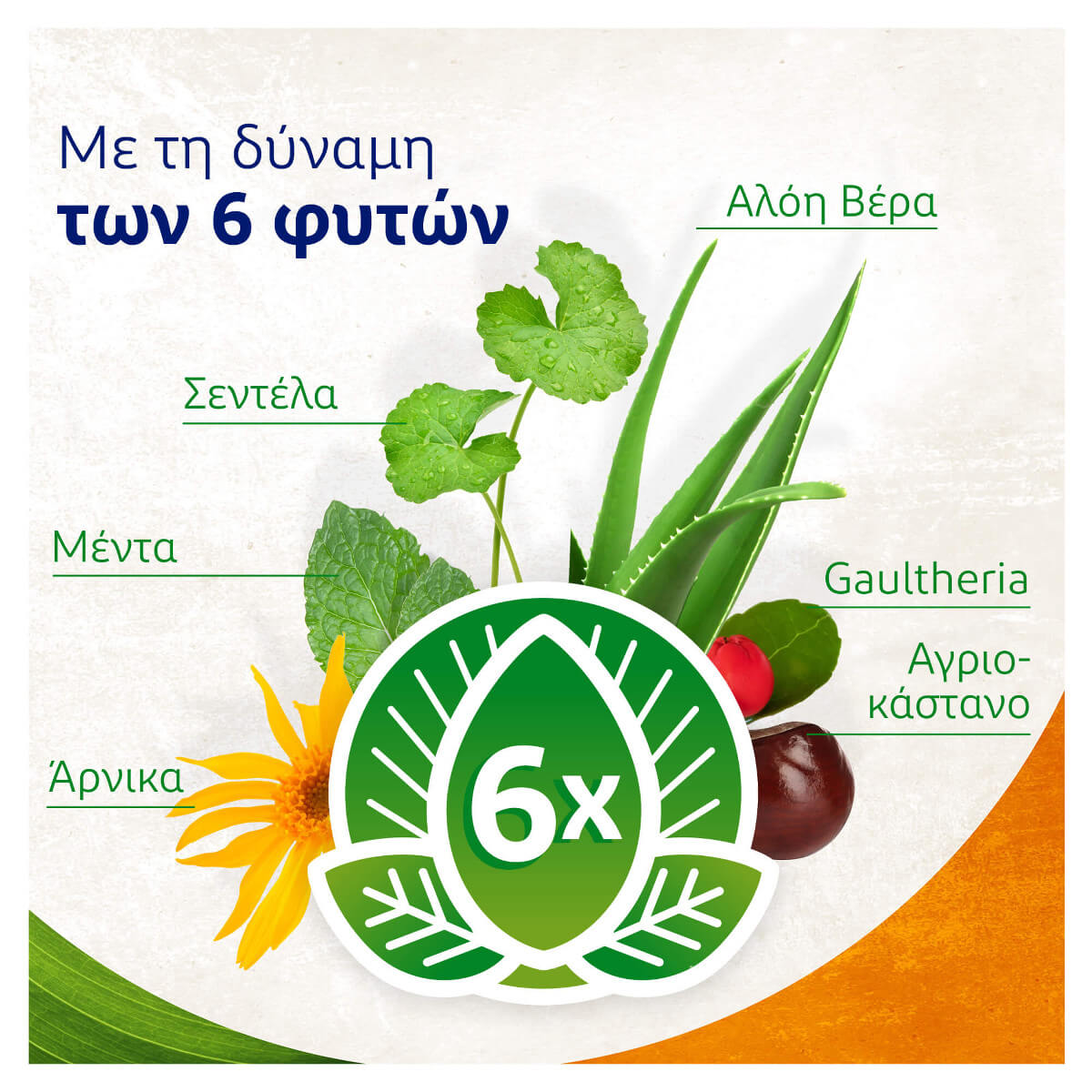 VoltaNatura Γέλη Φυτικής Προέλευσης για Μυς και Μώλωπες 3y+ 50ml VoltaNatura Γέλη Φυτικής Προέλευσης για Μυς και Μώλωπες 3y+ 50ml