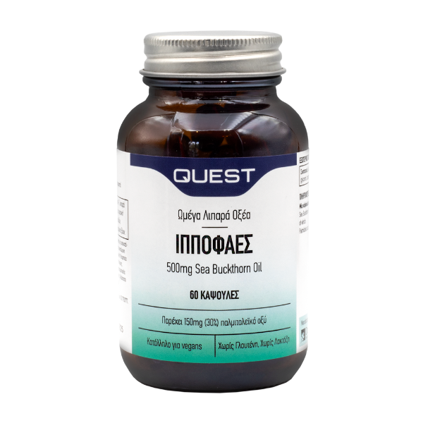 Quest Hippophae 500mg 60caps (Συμπλήρωμα Διατροφής με Ιπποφαές για την Καλή Υγεία του Καρδιαγγειακού & Ανοσοποιητικού Συστήματος) Quest Hippophae 500mg 60caps (Συμπλήρωμα Διατροφής με Ιπποφαές για την Καλή Υγεία του Καρδιαγγειακού & Ανοσοποιητικού Συστήματος)