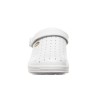 Scholl Shoes New Bonus White F219041065 No.40 1pair