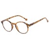 VisualCare Reading Glasses/Sunglasses +2,00 3002 Brown 1pc (Γυαλιά Διαβάσματος / Ηλίου)