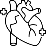 Heart & Circulatory Health
