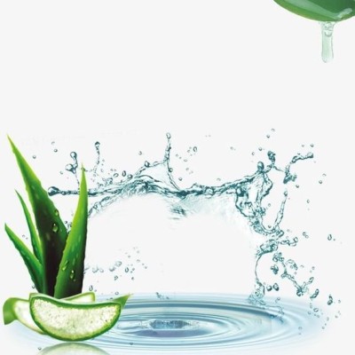 Μάθετε για την Γνήσια Αλόη (Aloe Vera) - Τι είναι; Ποιες οι χρήσεις της;